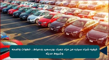 كيفية شراء سيارة من مزاد جمرك بورسعيد ودمياط.. خطوات واضحة وشروط حديثة